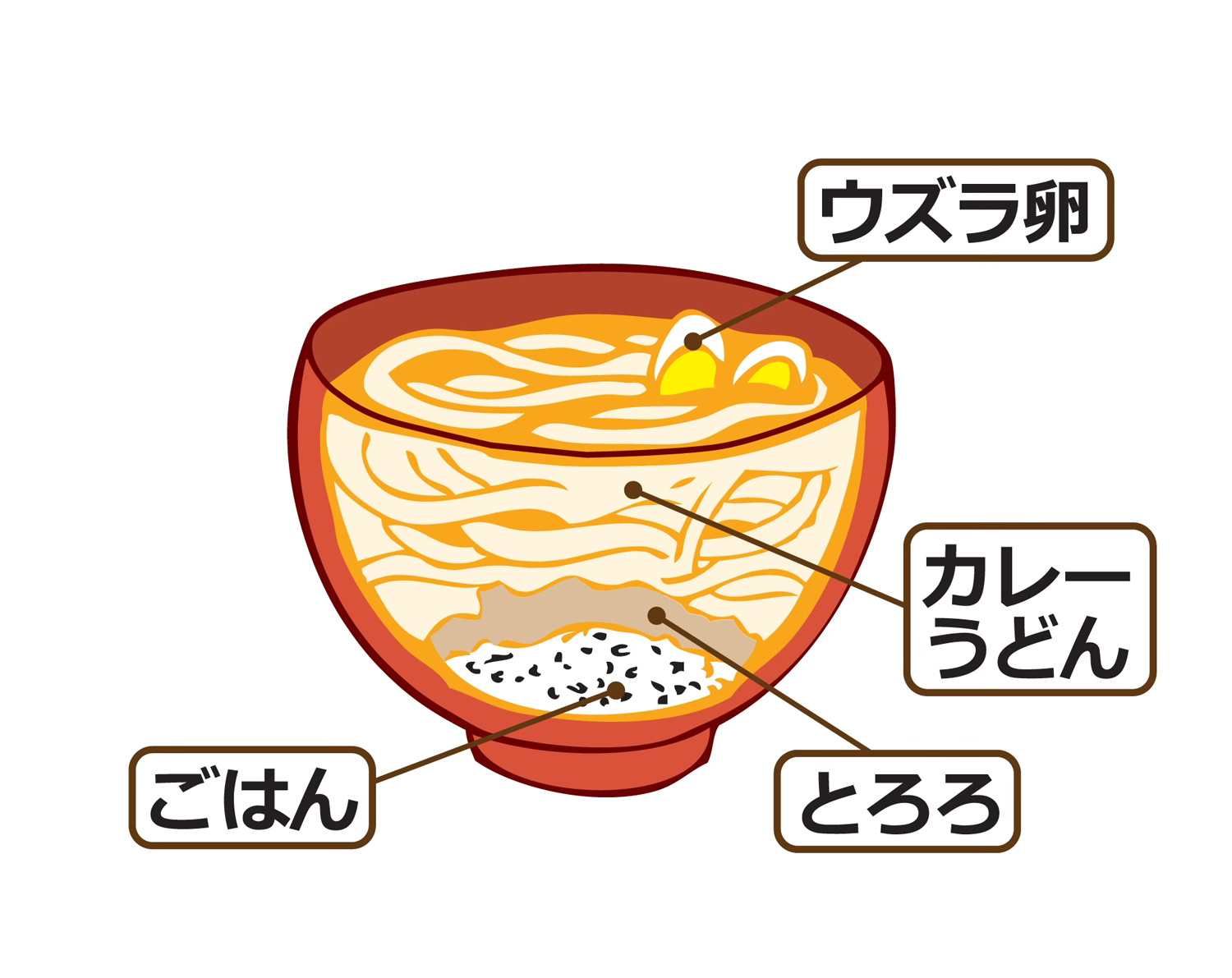 うどん断面